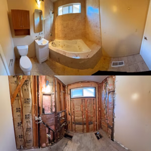 bathroom demolition project