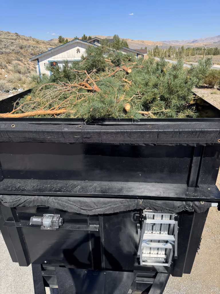 yard brush being removed from home